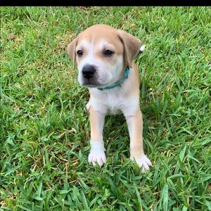 Meet your Posher, Amberleigh